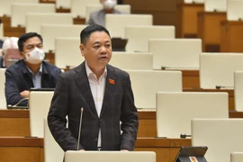 Đại biểu Nguyễn Ngọc Bảo - Đoàn Đại biểu Quốc hội tỉnh Bắc Ninh. (Ảnh: CTV/Vietnam+)