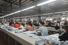 Sản xuất dệt may tại doanh nghiệp Tiên Sơn. (Ảnh: Vietnam+)
