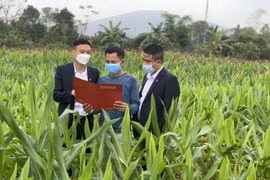 Agribank với sứ mệnh đồng hành, gắn bó lĩnh vực “tam nông”. (Ảnh: Vietnam+)