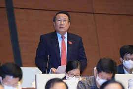 Đại biểu Hà Sỹ Đồng (đoàn Quảng Trị) phát biểu tại hội trường. (Ảnh: Trọng Đức/TTXVN)