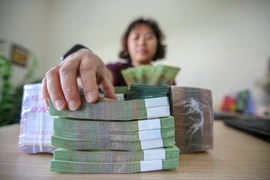 Ảnh minh họa. (Ảnh: Vietnam+)