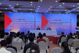 Toàn cảnh Đại hội đồng cổ đông Techcombank. (Ảnh: Vietnam+)