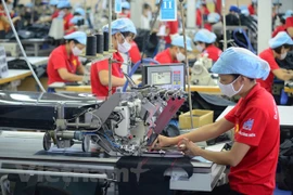Ảnh minh họa. (Ảnh: Vietnam+)