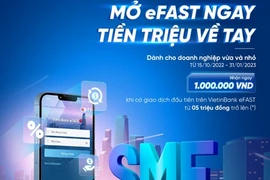Ảnh minh họa. (Ảnh: Vietnam+)