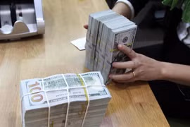 Ảnh minh họa. (Ảnh: Vietnam+) 