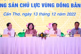Các đại biểu tại hội nghị. (Ảnh: CTV/Vietnam+)