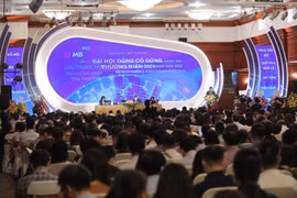 Toàn cảnh Đại hội đồng cổ đông MB. (Ảnh: CTV/Vietnam+)