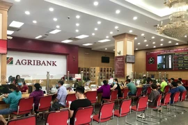 Giao dịch tại Agribank. (Ảnh: Vietnam+)