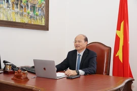 Đại sứ Lê Dũng phát biểu tại cuộc họp. (Ảnh: TTXVN)