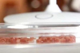 Thịt gà nuôi cấy trong phòng thí nghiệm. (Ảnh: Pressform)