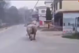 Ảnh chụp màn hình. (Nguồn: Sakshi TV)