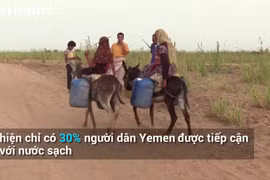 (Ảnh: Vietnam+)