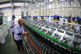 Ảnh chỉ có tính minh họa. (Nguồn: Jakarta Globe)