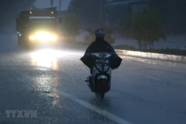 Ảnh minh họa. (Ảnh: Duy Khương/TTXVN)