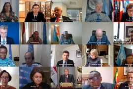 Phiên họp trực tuyến của Hội đồng Bảo an Liên hợp quốc. (Ảnh: TTXVN)