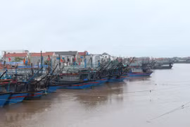 Tàu thuyền neo đậu tránh trú bão. (Ảnh: Nguyễn Oanh/TTXVN)