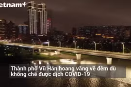 (Ảnh: Vietnam+)