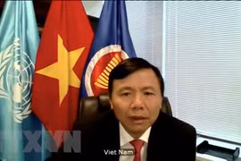 Đại sứ Đặng Đình Quý - Trưởng phái đoàn đại diện thường trực Việt Nam tại Liên hợp quốc. (Ảnh: Hữu Thanh/TTXVN)