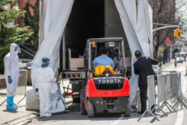 Mỹ là quốc gia thứ 3 trên thế giới có số người tử vong vì dịch COVID-19 vượt mốc 10.000 người. (Ảnh: RNZ)