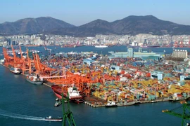 Cảng Busan của Hàn Quốc. (Ảnh: Pinterest)