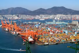 Cảng Busan của Hàn Quốc. (Ảnh: Pinterest)