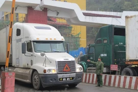 Ảnh chỉ có tính minh họa. (Ảnh: Đức Duy/Vietnam+)