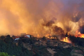Ảnh chỉ có tính minh họa. (Nguồn: The Straits Times)