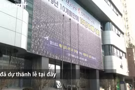 (Ảnh: VietnamPlus)