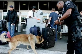 Cảnh sát và chó nghiệp vụ tăng cường khám xét hành lý ở sân bay tại Los Angeles. (Ảnh: New York Times)