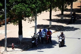 Người dân tại Hà Nội tranh thủ nghỉ dưới những gốc cây, gầm cầu vượt để tránh nắng nóng. (Ảnh: Quang Quyết/TTXVN)