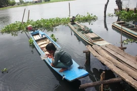 Người dân sống ven sông kiểm tra nguồn nước khi phát hiện mặt sông đã chuyển thành màu đen sẫm và kèm theo mùi hôi khó chịu. (Ảnh: Thanh Tân/TTXVN)