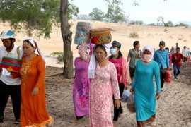 (Ảnh minh họa: Nguyễn Thanh/TTXVN)