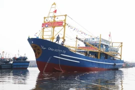 (Ảnh minh họa: Trần Lê Lâm/TTXVN)