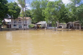 Mưa lớn gây ngập lụt tại Granbury, bang Texas ngày 4/6. (Nguồn: EPA/TTXVN)