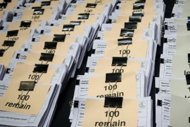 Số phiếu đã được kiểm tại Manchester, Anh ngày 24/6. (Nguồn: EPA/TTXVN)