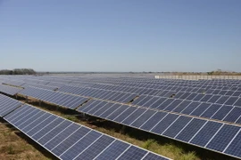 Các tấm gương hấp thụ năng lượng mặt trời tại nhà máy điện Horus. (Nguồn: AFP/TTXVN)