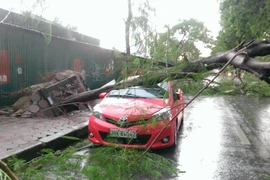 Hà Nội: Hàng trăm cây gãy đổ, ít nhất 5 người thương vong