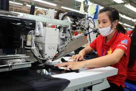 (Ảnh minh họa: Trần Việt/TTXVN)