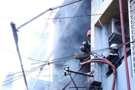 (Ảnh minh họa: Thế Vinh/TTXVN)