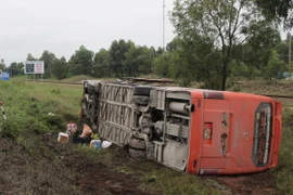 (Ảnh minh họa: Hồ Cầu/TTXVN)