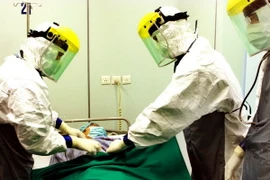 (Ảnh minh họa: Dương Ngọc/TTXVN)