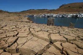 Hồ chứa nước New Melones ở California, Mỹ bị cạn khô do hạn hán kéo dài. (Nguồn: AFP/TTXVN)