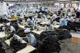 (Ảnh minh họa: Vũ Sinh/TTXVN)