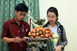 (Ảnh minh họa: Thanh Vũ/TTXVN)