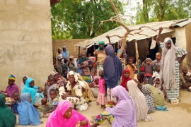 Ảnh minh họa. (Nguồn: THX/TTXVN)