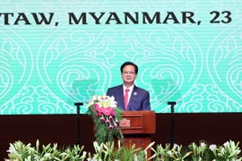 Thủ tướng Nguyễn Tấn Dũng phát biểu tại Hội nghị ACMECS 6. (Ảnh: Đức Tám/TTXVN)