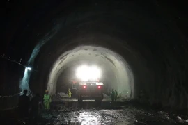 (Ảnh minh họa: Nguyên Lý/TTXVN)