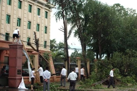 (Ảnh minh họa: Lan Xuân/TTXVN)