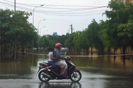 (Ảnh minh họa: Trọng Lịch/TTXVN)
