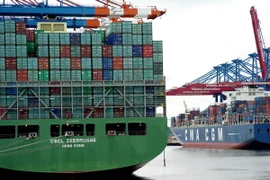Tàu chở container bỏ neo tại cảng ở Hamburg, thành phố phía bắc Đức. (Nguồn: AFP/TTXVN)